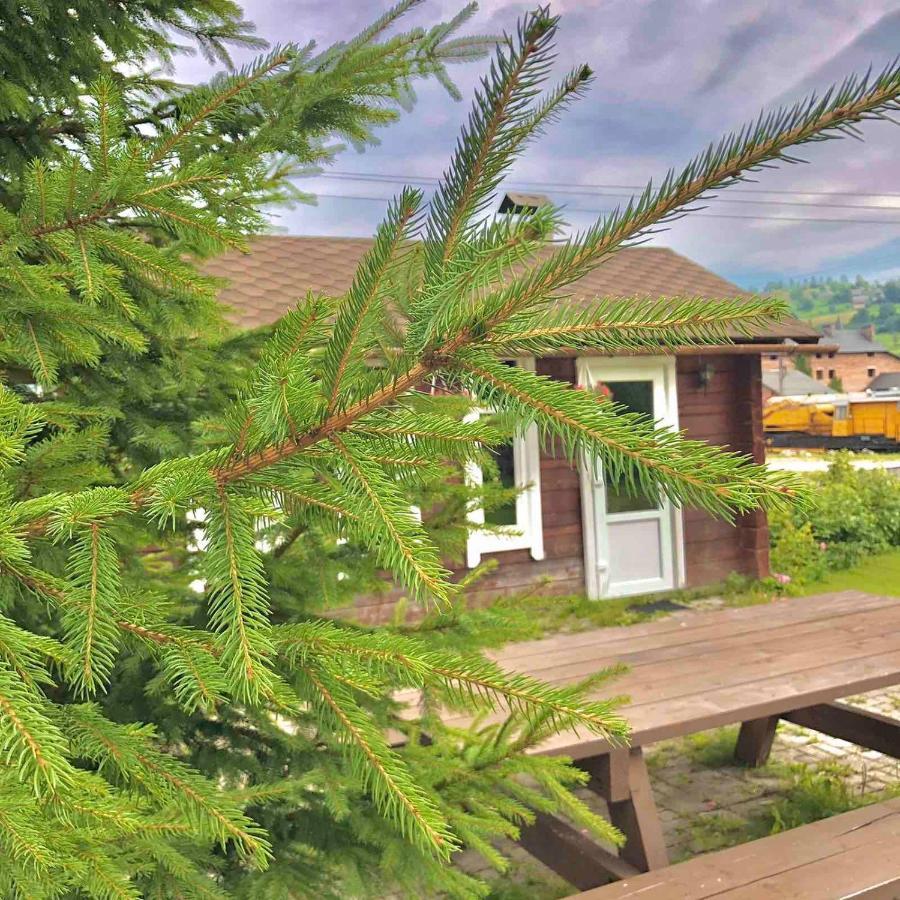 Тіна Hotel Slavske Buitenkant foto