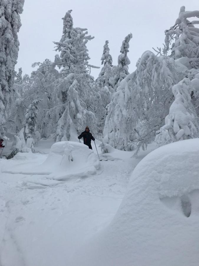 Тіна Hotel Slavske Buitenkant foto